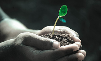 A close-up of two hands holding soil with a plant sprouting out of it