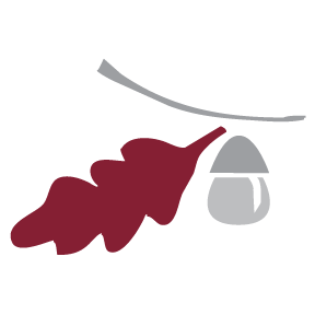 Enterprise Bank Logo. A stylized acorn in grey with a red leaf and grey stem
